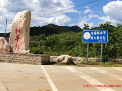 2014年的平房，房屋是270平，院子是800多，鸟语花香，