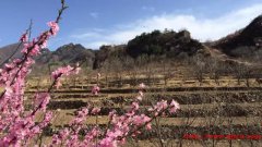 宅基地使用权可依法由城镇户籍子女继承并办理不动产登记