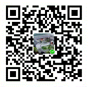 怎么充值得金币？