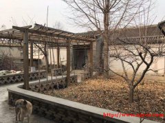 北京顺义700平米院子出租