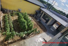 顺义牛栏山镇某村300平二层，新房235平，长租20年