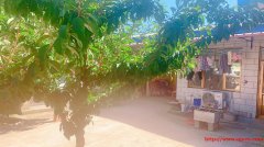 北京密云平谷顺义三区交界处，独门独院 2948平米