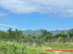 昌平区兴寿镇独立别墅，220平米9万/年，有山有水有菜