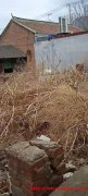 密云河南寨镇某村300平米一次性转让55万