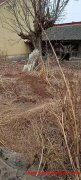 密云河南寨镇某村300平米一次性转让55万
