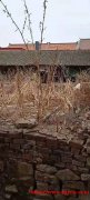 密云河南寨镇某村300平米一次性转让55万