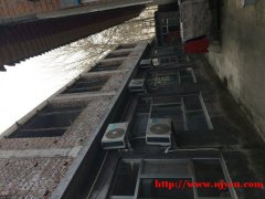 顺义赵全营镇某村，1000平米农村自建房出租