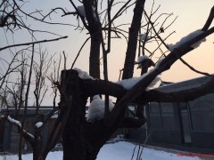 北京密云西田各庄镇某村1000平米大院出租