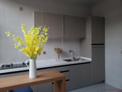 通州于家务乡墅质小院280平米出租