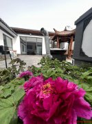 昌平十三陵镇200平米院子特价30万起
