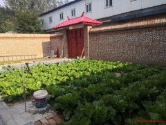 北京市顺义区李桥镇某村农家院