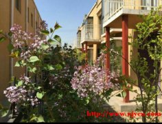 花园别墅通州高速旁距国贸25分钟