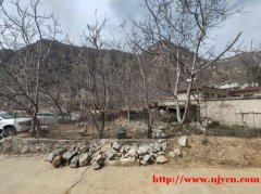 北京房山十渡自家小院出租